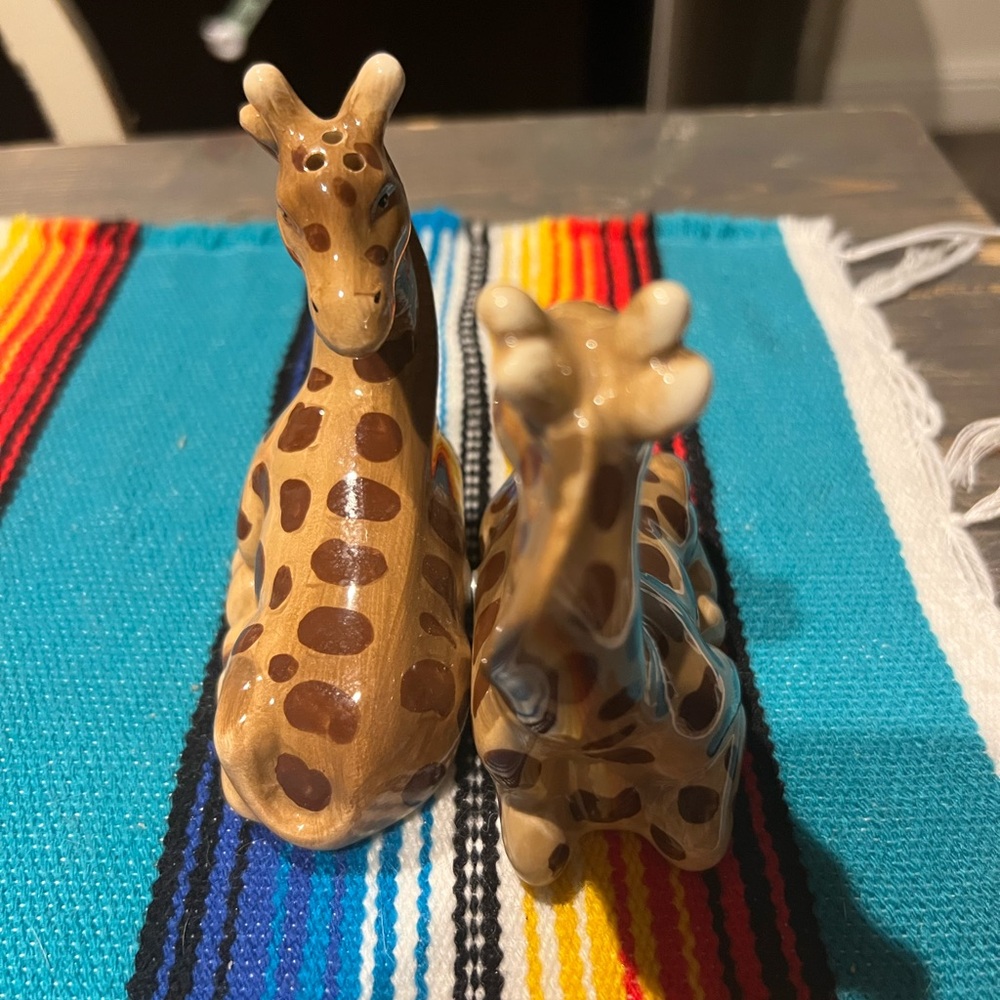Brown Giraffe Salt & Pepper Shakers - Picture 3 of 5